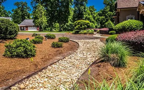 Mulch & More