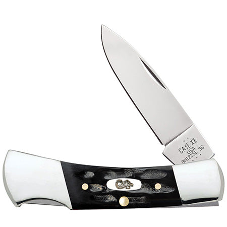 Case XX 65031 Lockback Jigged Buffalo Horn
